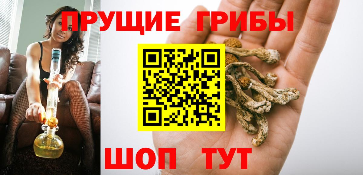 Галлюциногенные грибы Psilocybine cubensis  Вход с VPN  Медногорск 