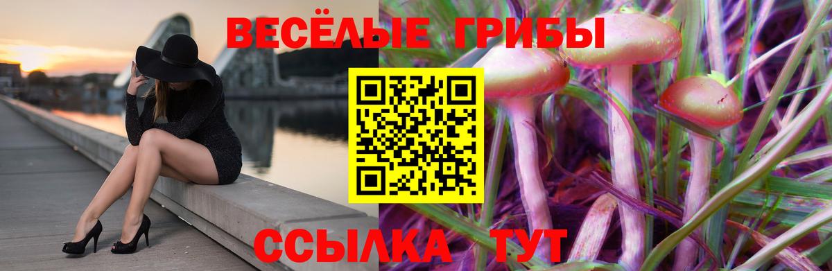 Галлюциногенные грибы GOLDEN TEACHER Медногорск